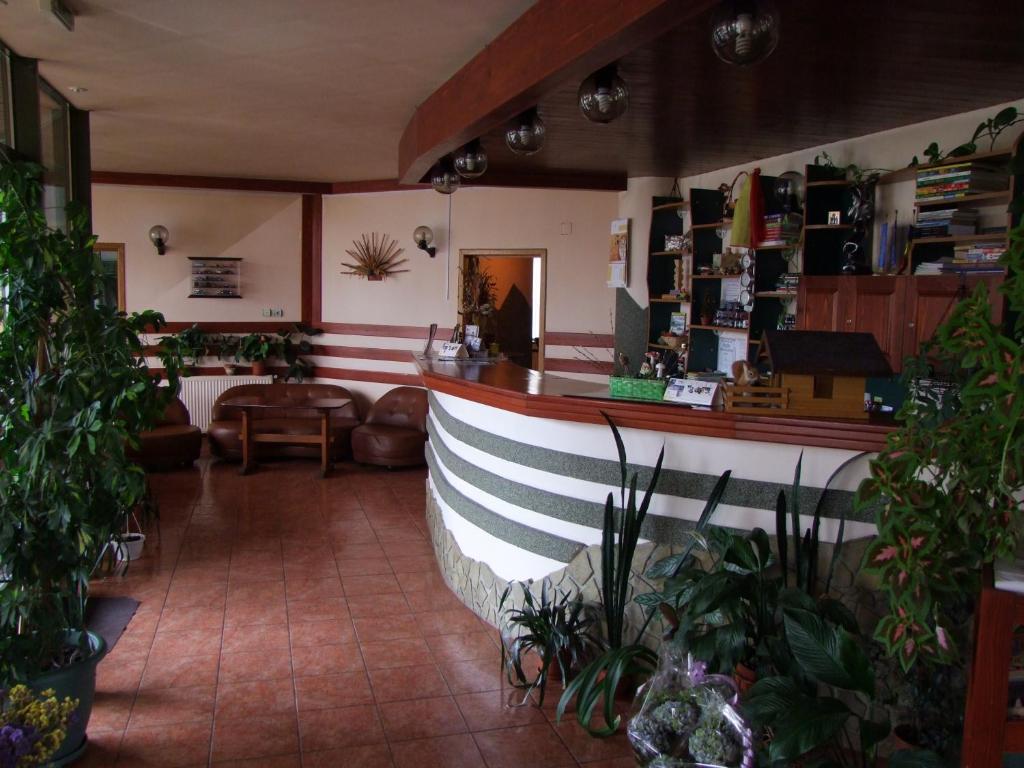 Hotel Silva Vatra Dornei Ngoại thất bức ảnh