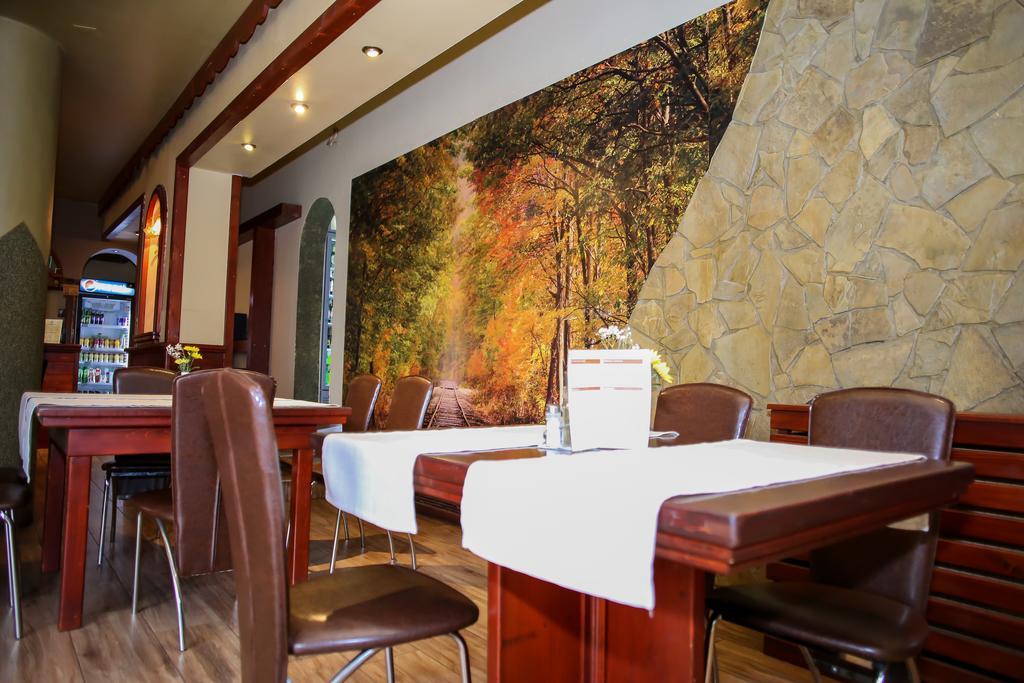 Hotel Silva Vatra Dornei Ngoại thất bức ảnh