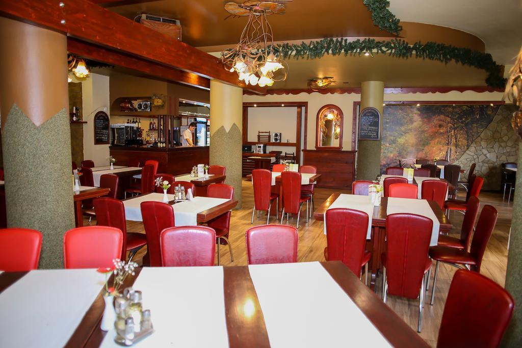 Hotel Silva Vatra Dornei Ngoại thất bức ảnh