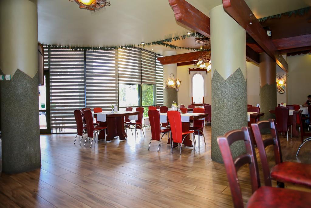 Hotel Silva Vatra Dornei Ngoại thất bức ảnh