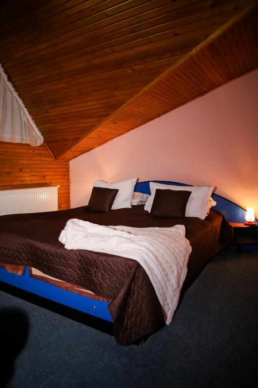 Hotel Silva Vatra Dornei Ngoại thất bức ảnh